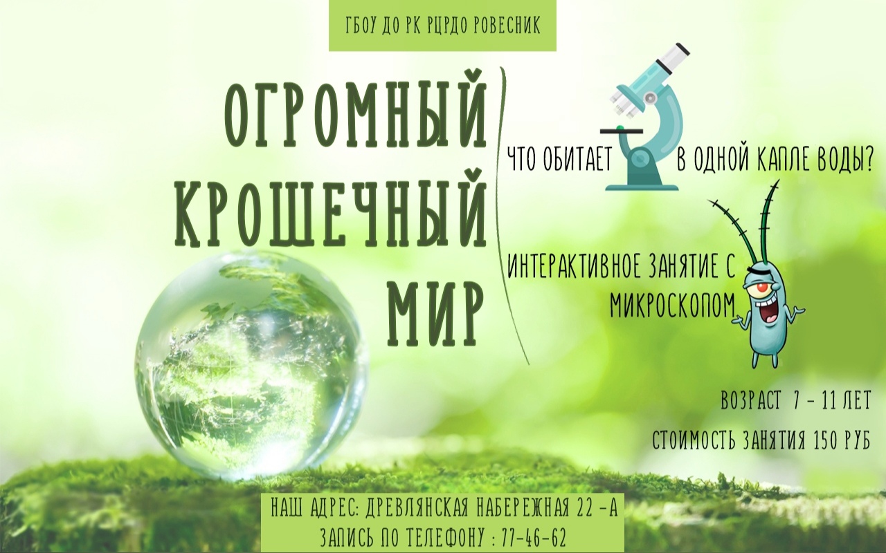 Интерактивное занятие с микроскопом 