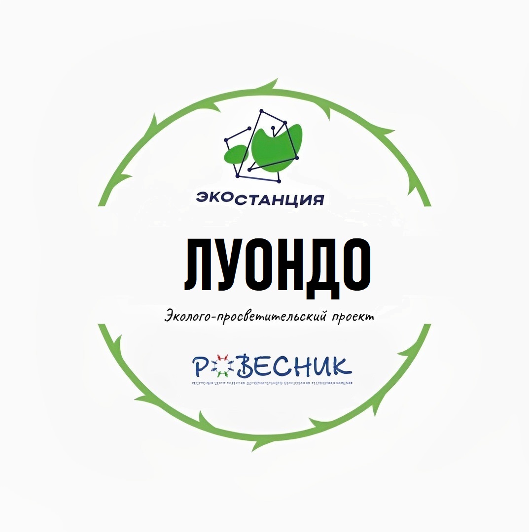 Проект «Luondo» ищет участников