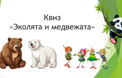 Подведены итоги проведения интеллектуальной игры-квиза «Эколята и медвежата» 